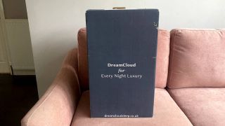 DreamCloud pillow