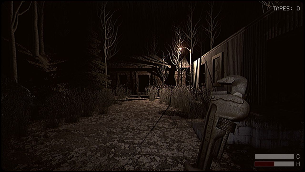 Forest shack at night dimly lit in Butcher's Creek