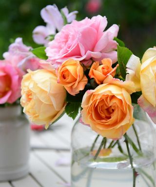 garden roses in vase
