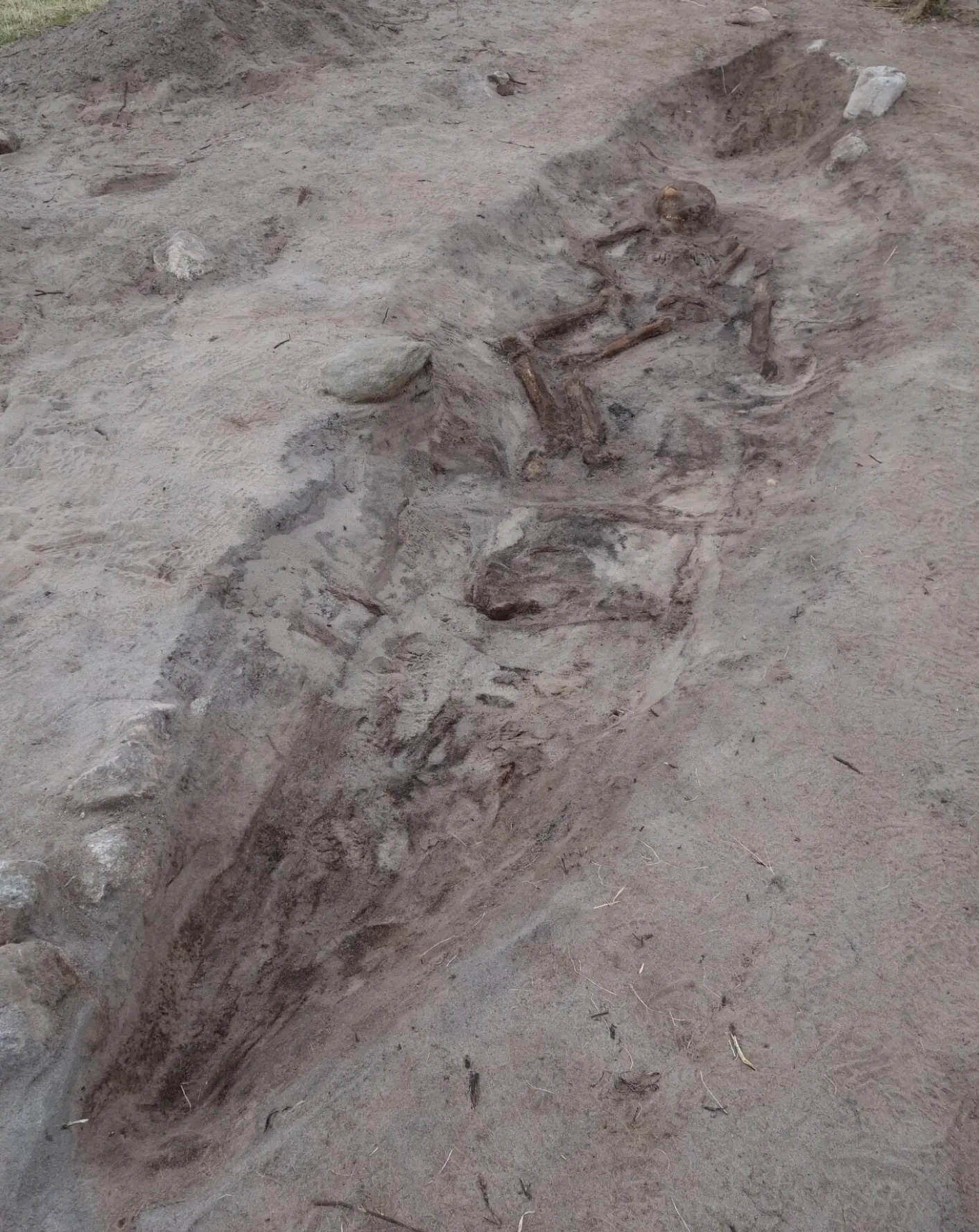 a view of a boat-shaped grave containing a human skeleton