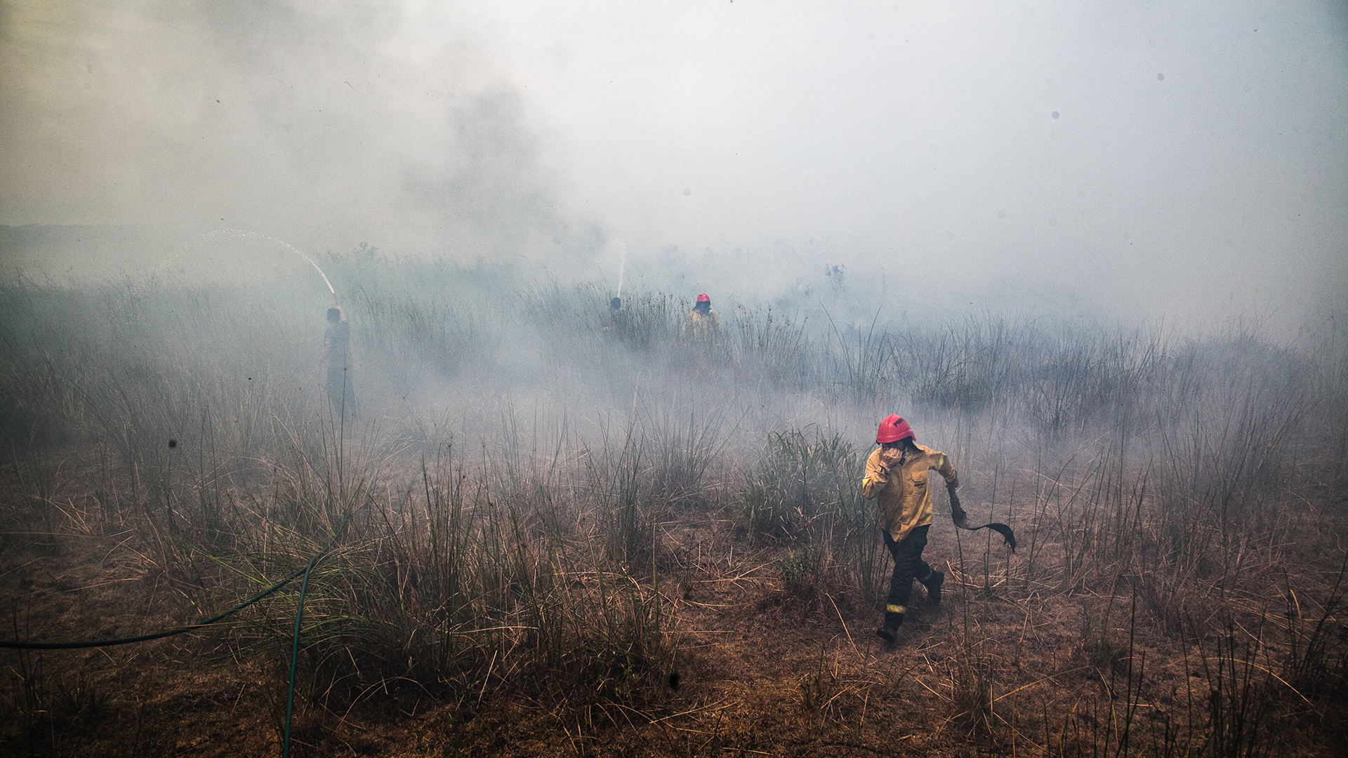 Pada bulan Februari, kebakaran hutan yang dipicu oleh kekeringan parah menghanguskan hutan, padang rumput, dan lahan basah di timur laut Argentina, membakar sekitar 40% Taman Nasional Ibera.