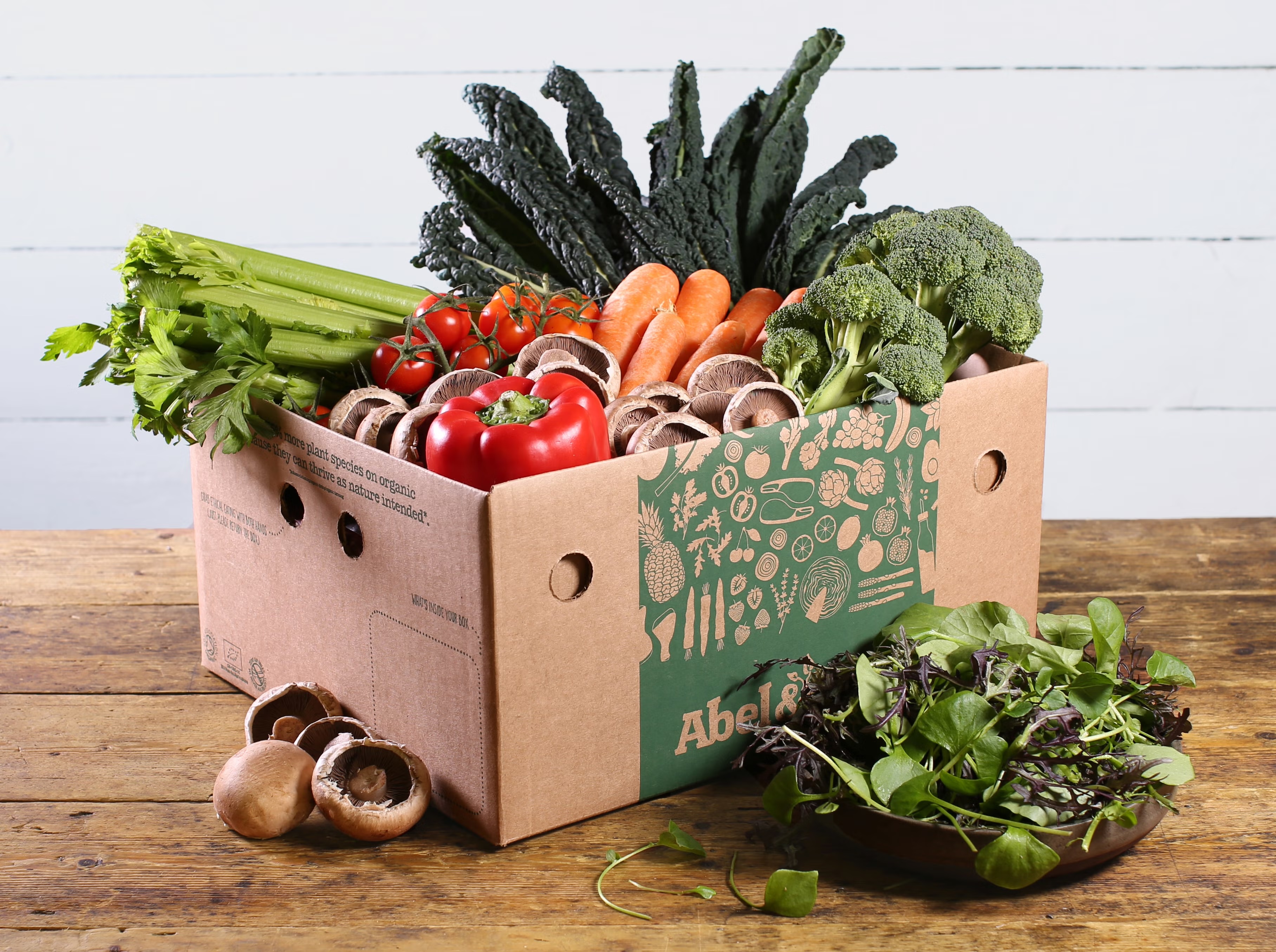 Cardboard box full of vegetables including celery, kale, tomatoes, carrots, red peppers and mushrooms