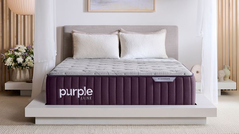 The image shows the Purple Rejuvenate Mattress on a white bed frame in a neutral bedroom