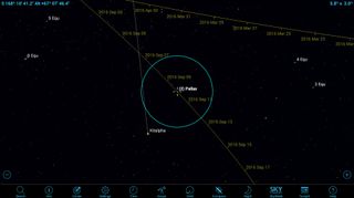 A close-up view of the path of asteroid Pallas as it passes near the naked-eye star on the dates around Sept. 9, 2016. The blue circle represents the field of view of a typical backyard telescope at low power.
