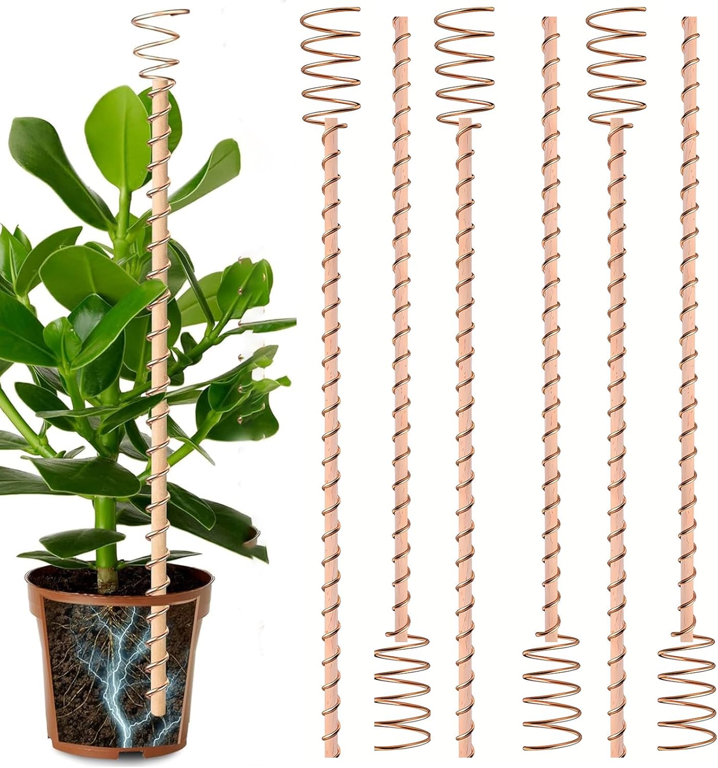 Soupiar 12inch Electroculture Plant Stakes,10pcs Long Copper Garden Stakes, Electroculture Copper Coil Antennas for Gardening High-Yield, Eco-Friendly