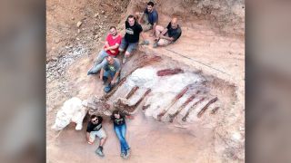 In August 2022, a team of Portuguese and Spanish paleontologists worked at the Monte Agudo site to excavate the enormous fossil.