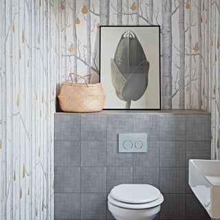 cloakroom with tree wallpaper wall and toilet