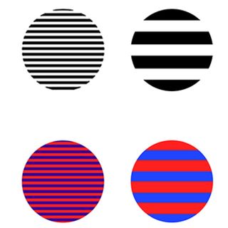 black and white circle with colorful circle and white background