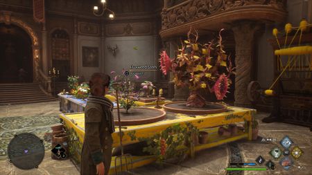 Large Potting Tables in Hogwarts Legacy's room of requirement