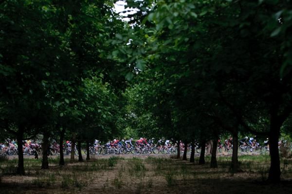 The peloton rolls through a wooded section on the second stage.