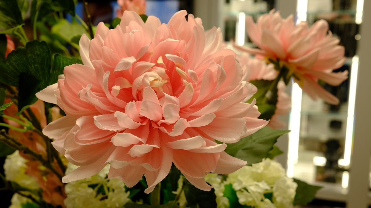 Fujifilm X100V