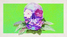 Photo collage of flowers and a skull in neon colours