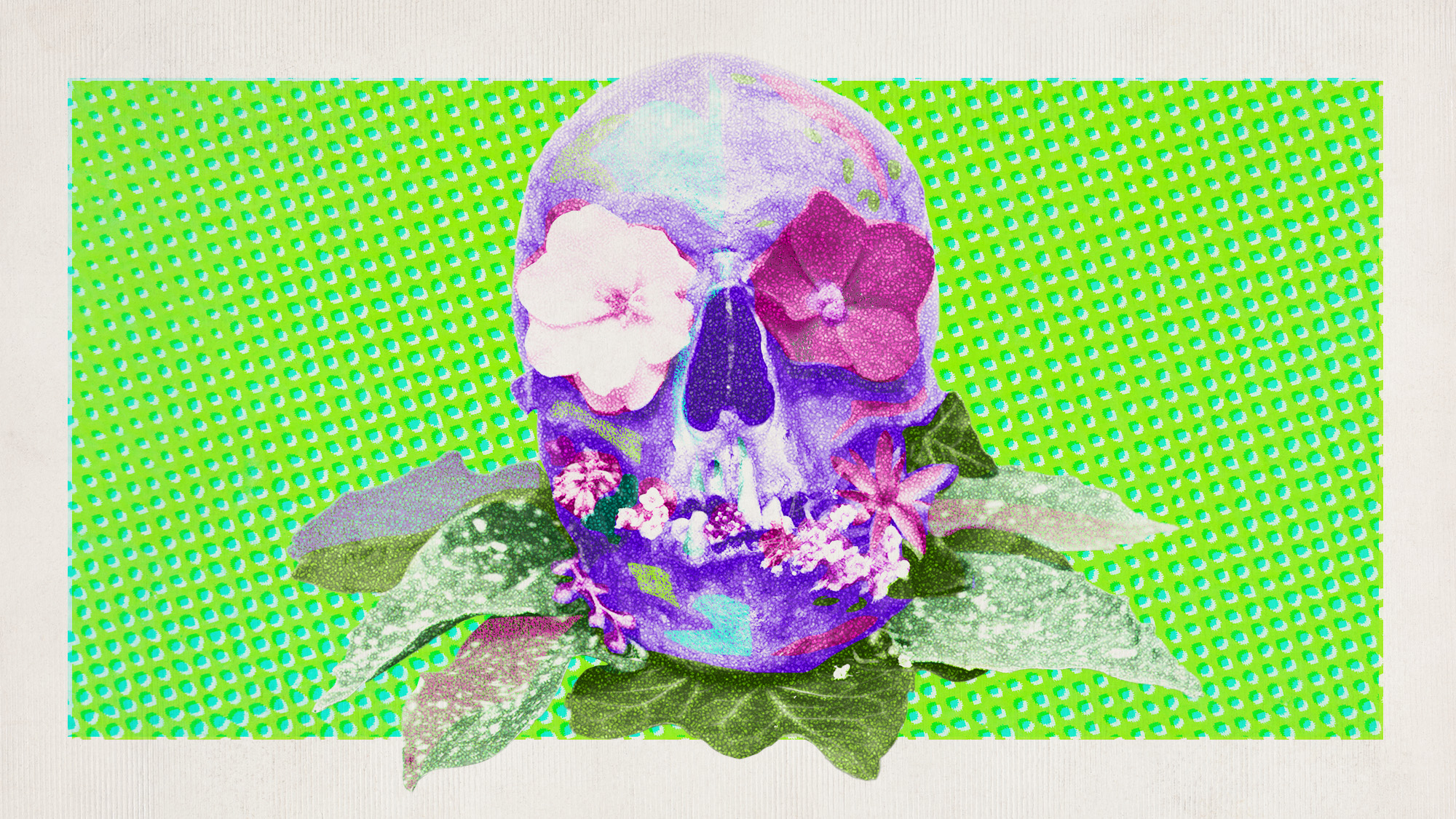 Photo collage of flowers and a skull in neon colours