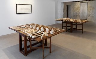 Human bones are set on two wooden tables.