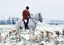 hunting-snow.jpg
