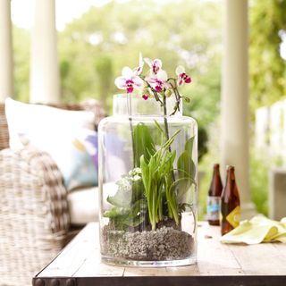 Pink orchid in large glass vase on outdoor wooden table
