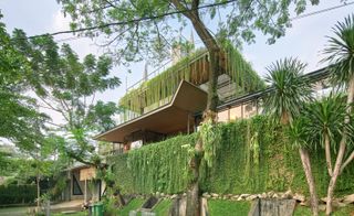 Foliage at the entrance of RAW architecture's live/work space