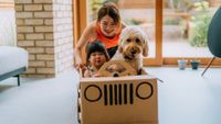 Woman and child playing with dog