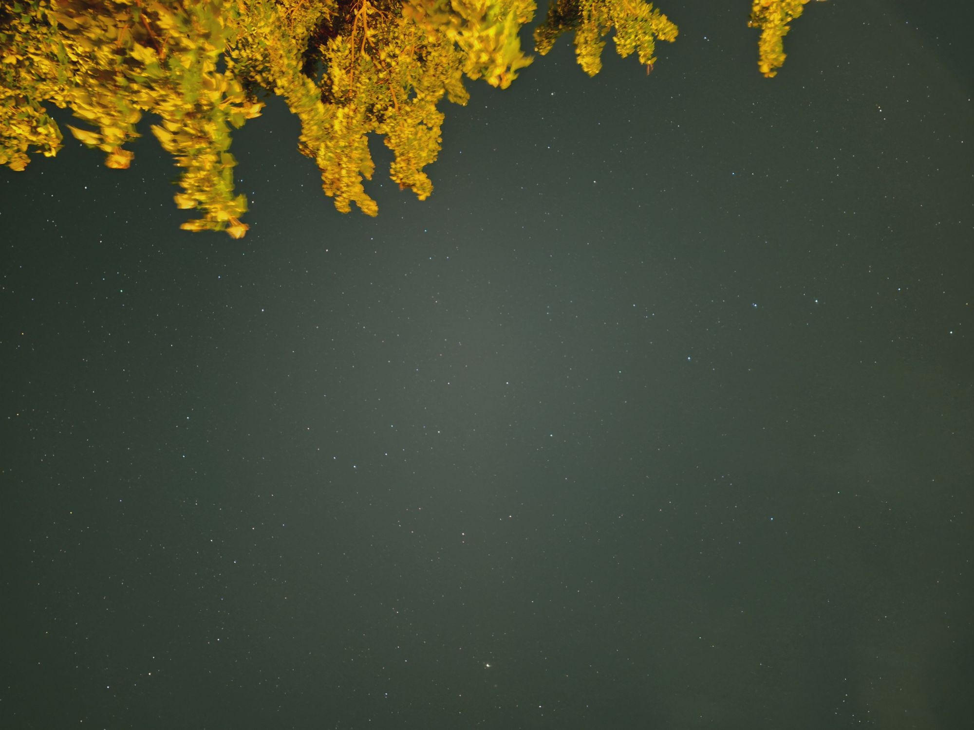 Samsung Galaxy S25 Edge Astrophotography Astro Mode Sample.