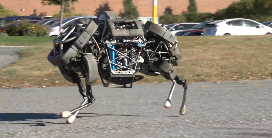 Is a four legged. Wildcat робот. Wildcat Boston Dynamics. Cheetah Boston Dynamics. Wildcat Boston Dynamics сверху.