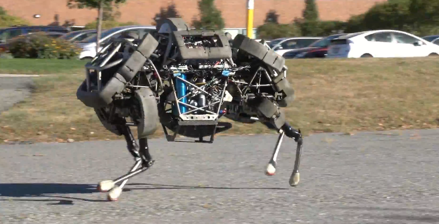 WildCat Robot Gallops in Video Debut | Live Science