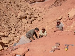 Paleontologists David Martill, Nizar Ibrahim, Paul Sereno and Cristiano Dal Sasso at a field site at the Kem Kem beds of eastern Morocco, from left to right), with a partial spine of Spinosaurus can be seen in the foreground.