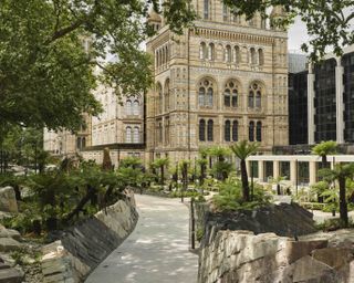 Natural History Museum gardens, following a transformation led by Fielden Fowles