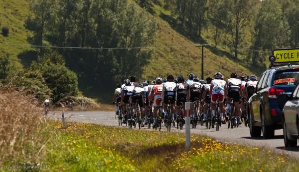 The peloton rolls through the Manawatu countryside