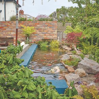 Koi pond surrounded by rocks and plants in garden