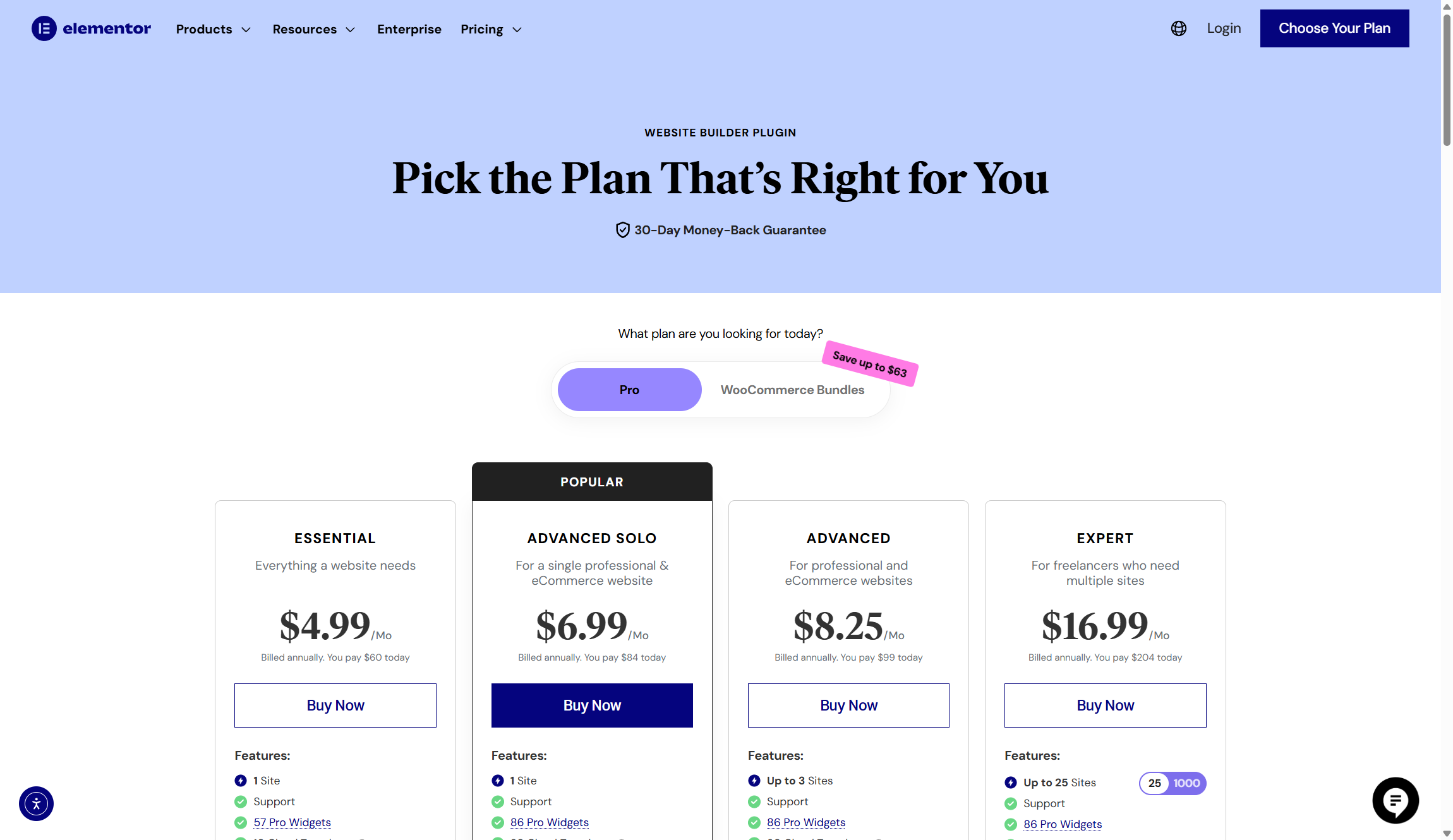 Elementor pricing