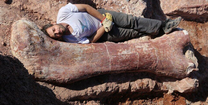 Scientists reveal a new contender for title of 'biggest dinosaur ever'