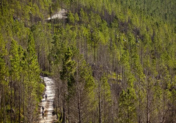 Racers during stage 6