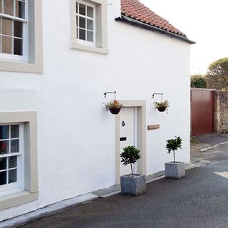 exterior with white wall and plant on pot
