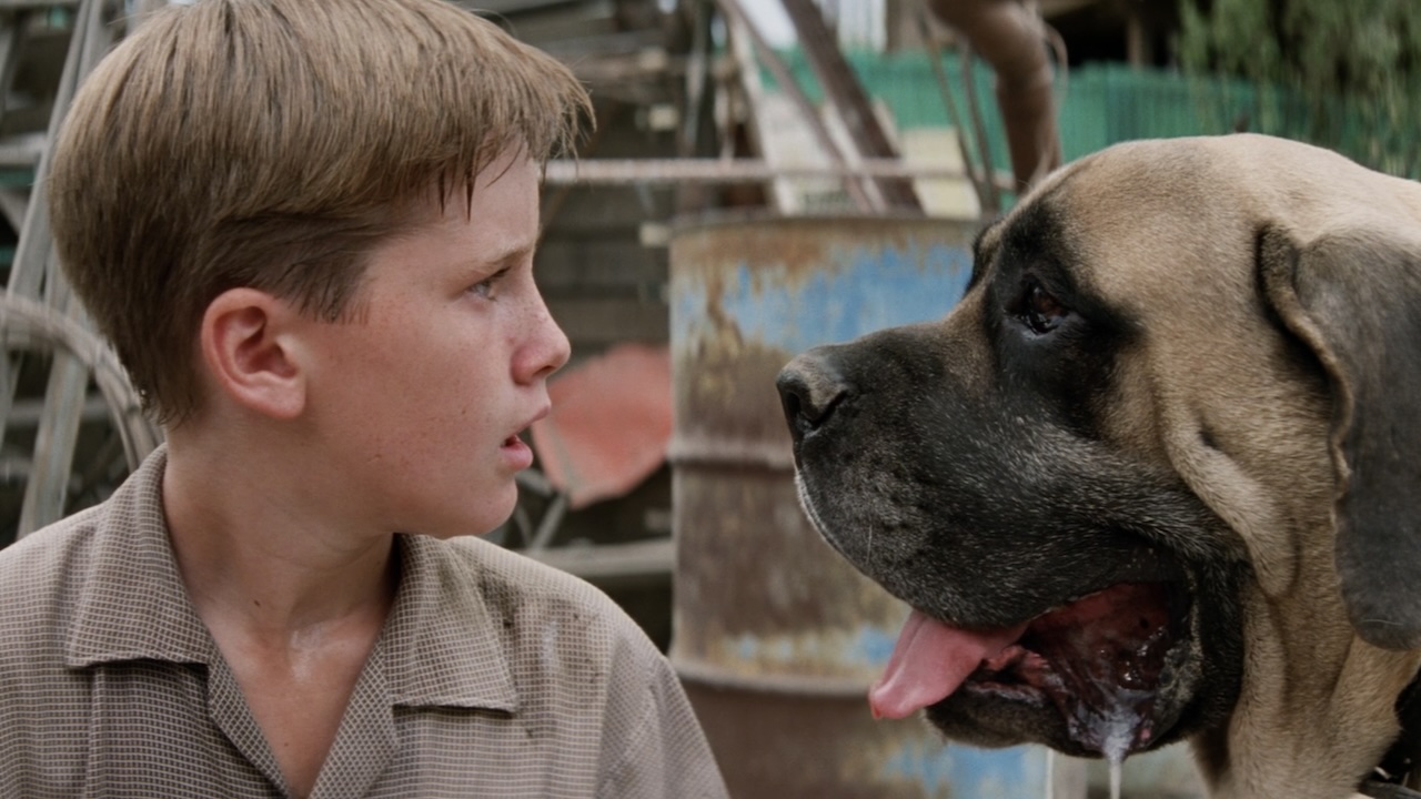 32 The Sandlot Quotes And Iconic Scenes That I Still Think About