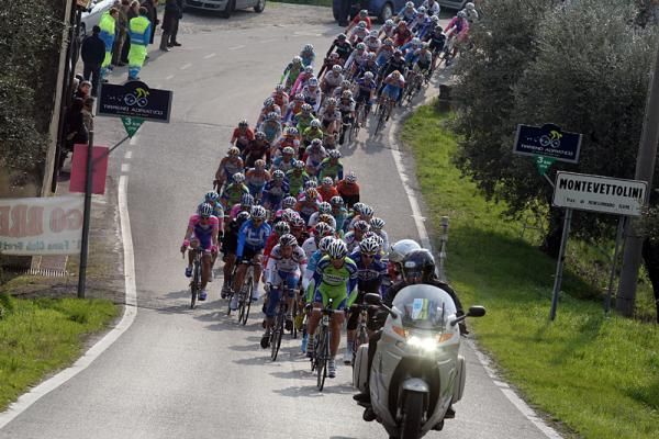 The peloton