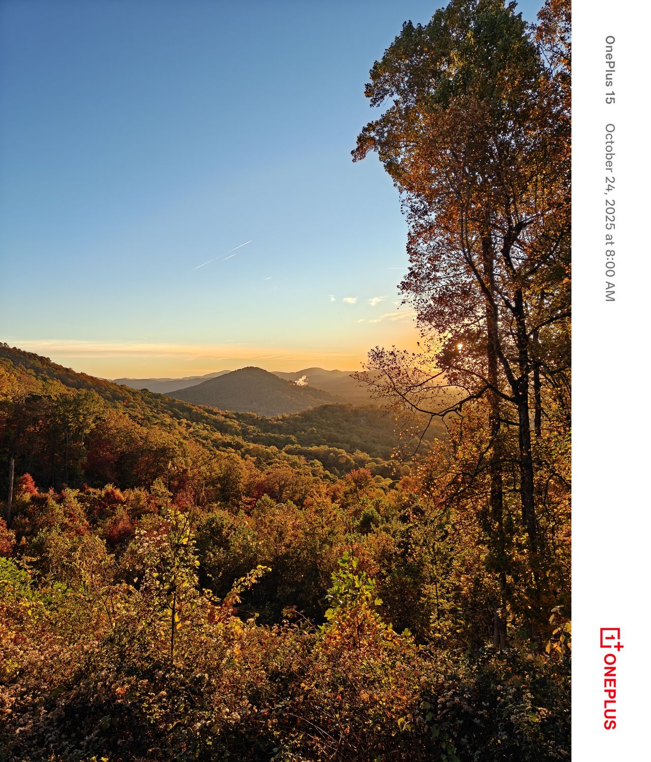 A photo of Fall foliage in the mountains, captured with a OnePlus 15