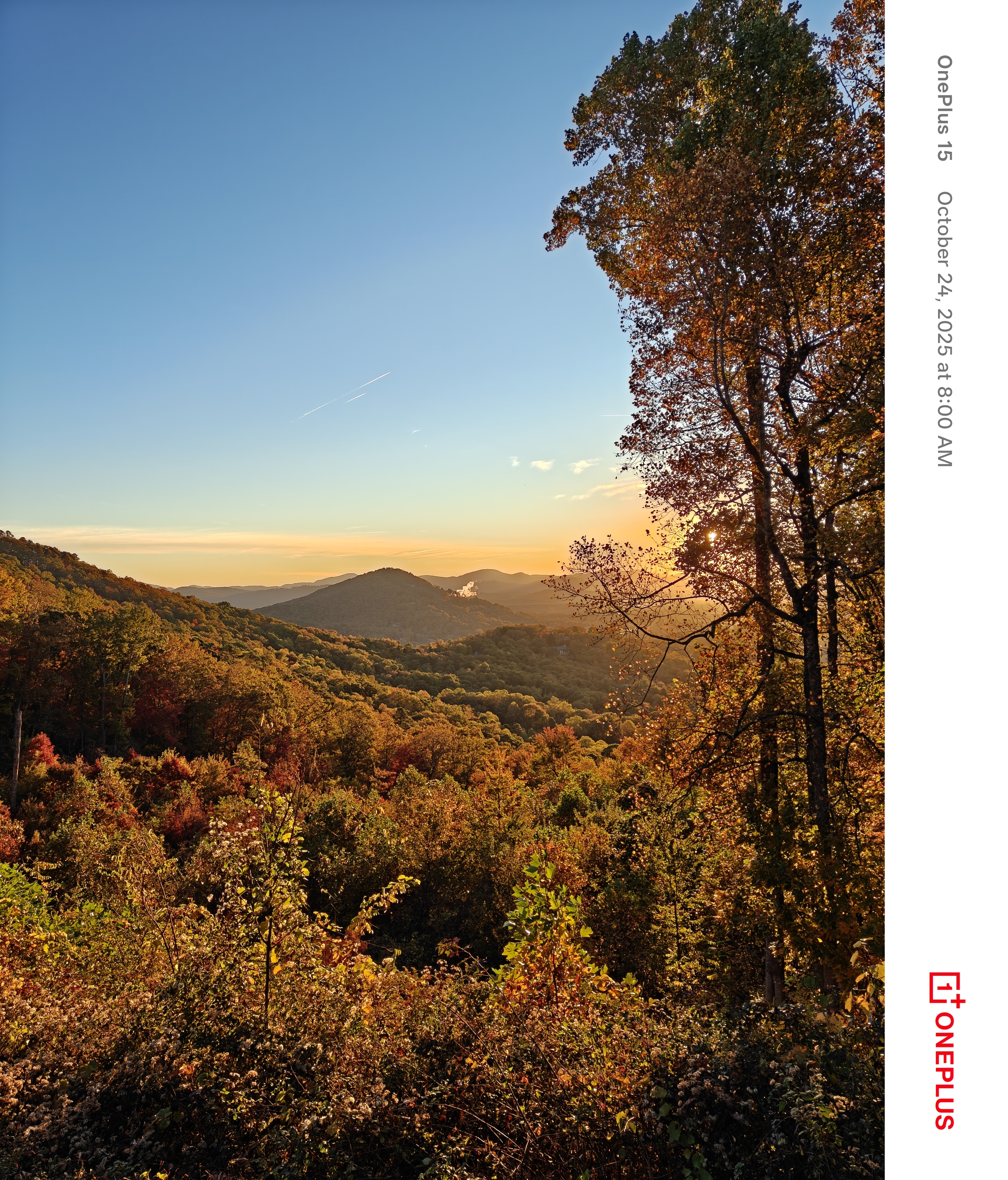 A photo of Fall foliage in the mountains, captured with a OnePlus 15