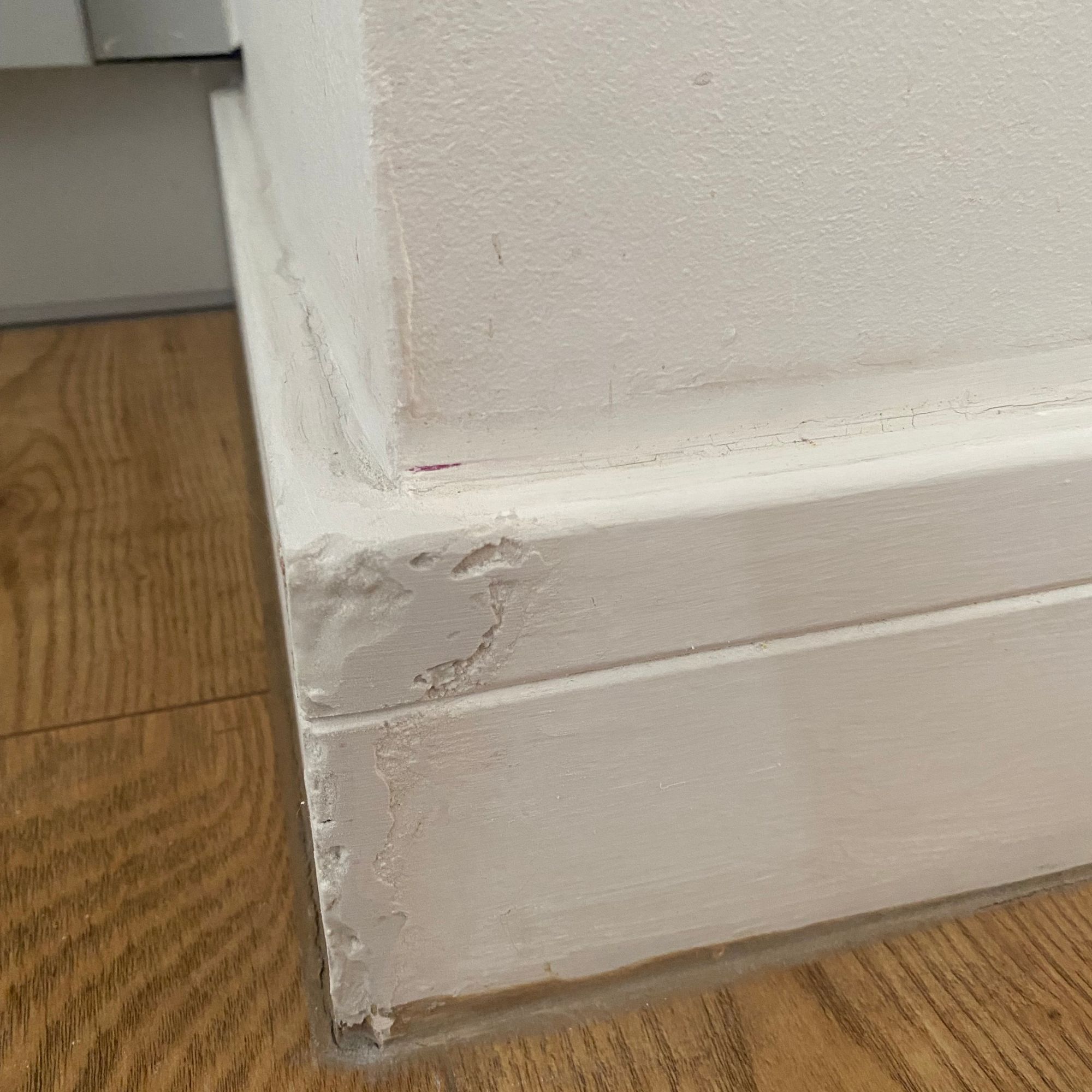 Wood filler applied to chewed skirting boards