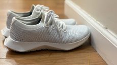 White and grey AllBirds Tree Dasher 2 sneakers on a wooden floor lined up against a white wall.