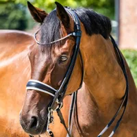 Finesse Cassidy Rolled Padded Double Bridle | 30% off at RedpostWas &pound;629 Now &pound;440.30