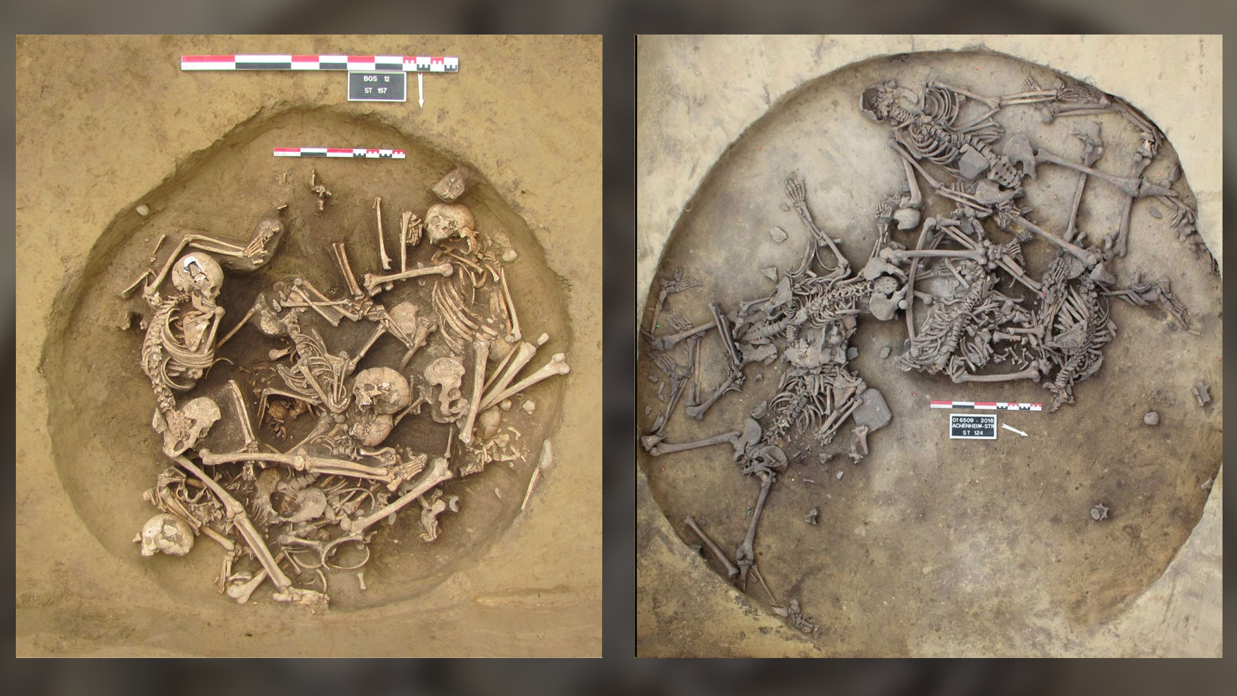 Two excavated pits filled with human skeletons