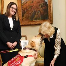 Queen Camilla getting licked by a dog