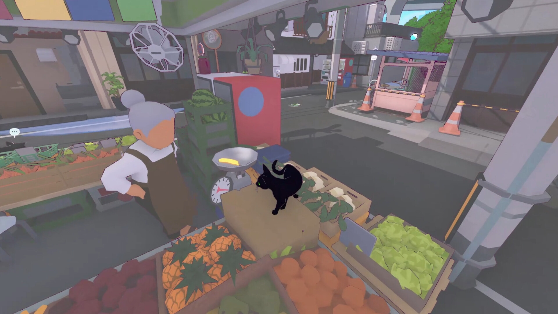 A black cat sits atop a crate in a fruit and vegetable shop, surrounded by boxes of pineapples, kiwis, lettuce and other foods. An elderly woman is stood looking at the cat, her hands on her hips disapprovingly.