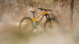 The Mondraker Foxy Carbon enduro MTB in yellow and silver