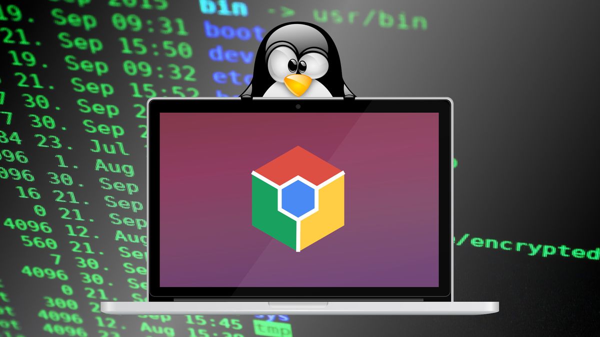 How to Run a Linux OS on your Chromebook