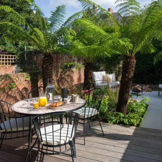 small garden with table plants and juice glass