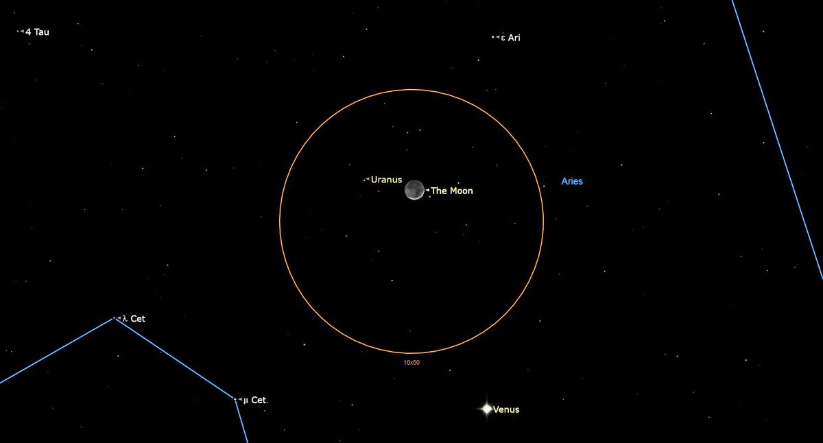 Willst du Uranus sehen?  Crescent weist heute Abend (24. März) den Weg