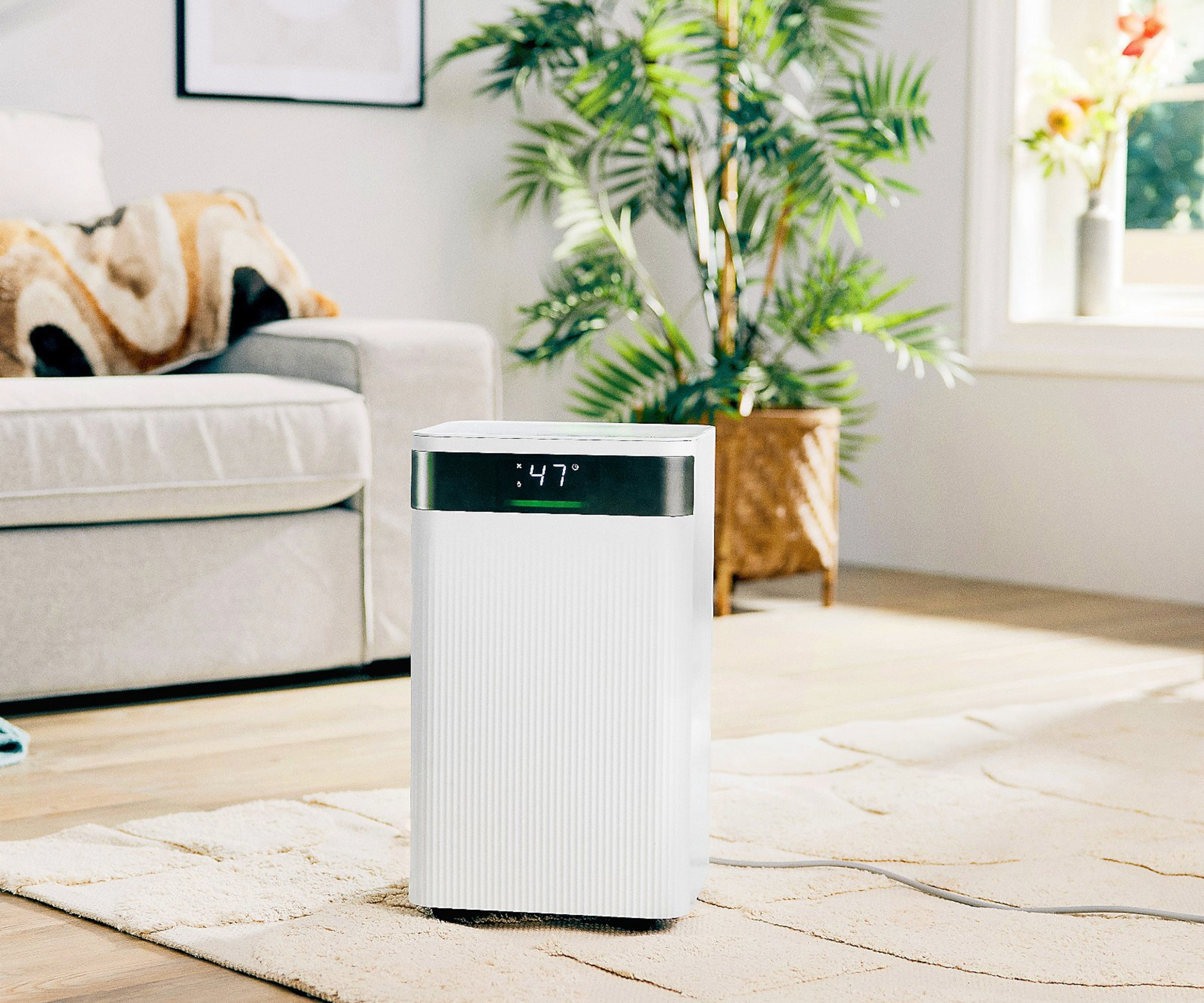 Kalorik Dehumidifier in a living room setting