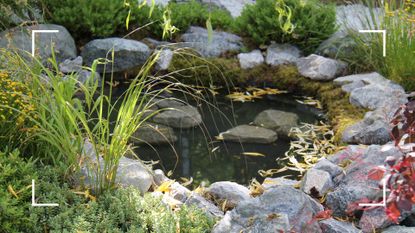 garden pond surrounded by rock boulders to demonstrate small pond ideas
