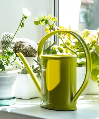 A green watering can next to houseplants on the windowsill